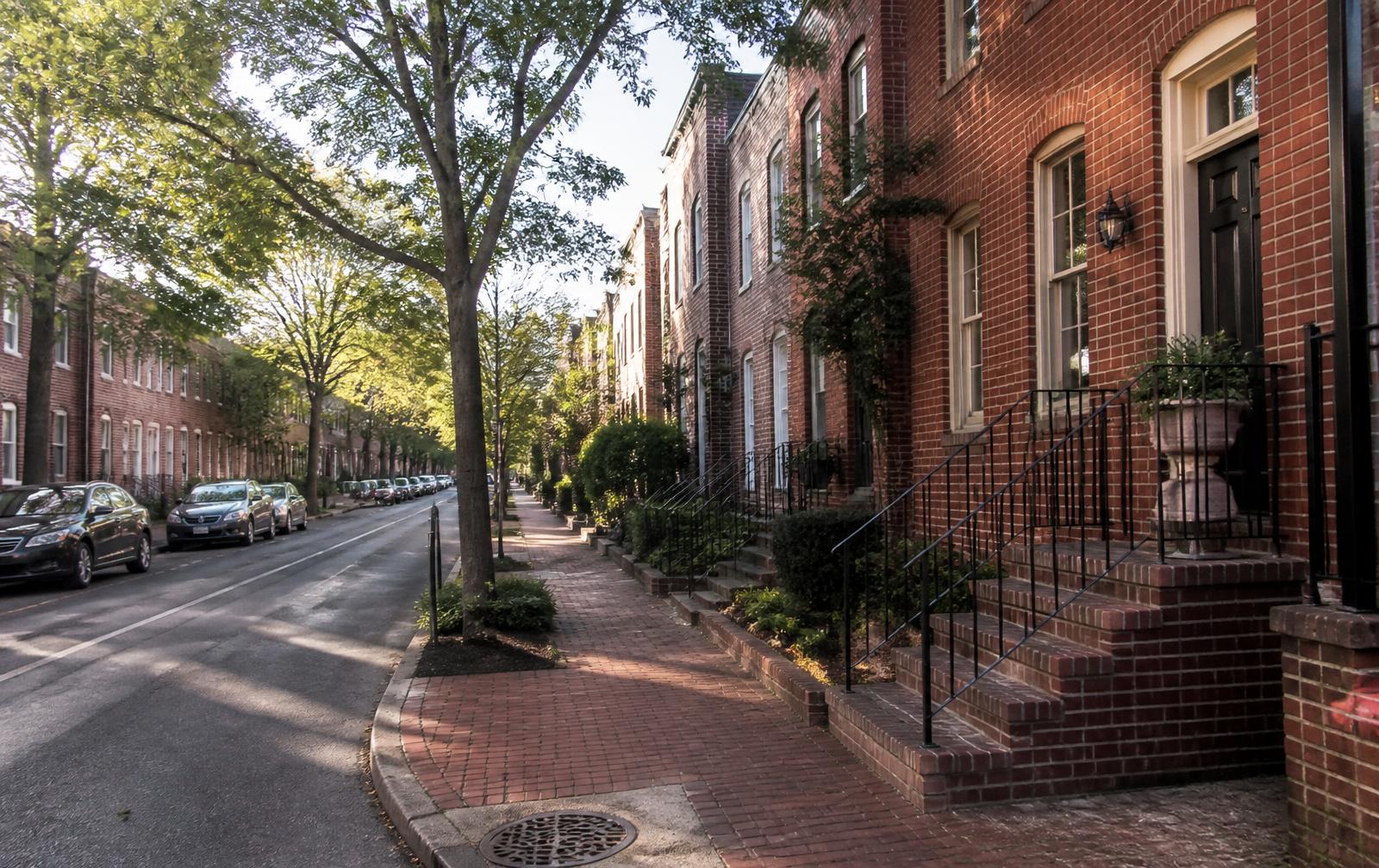Tree-shaded Norfolk street of historic brick homes with front stoops in morning light